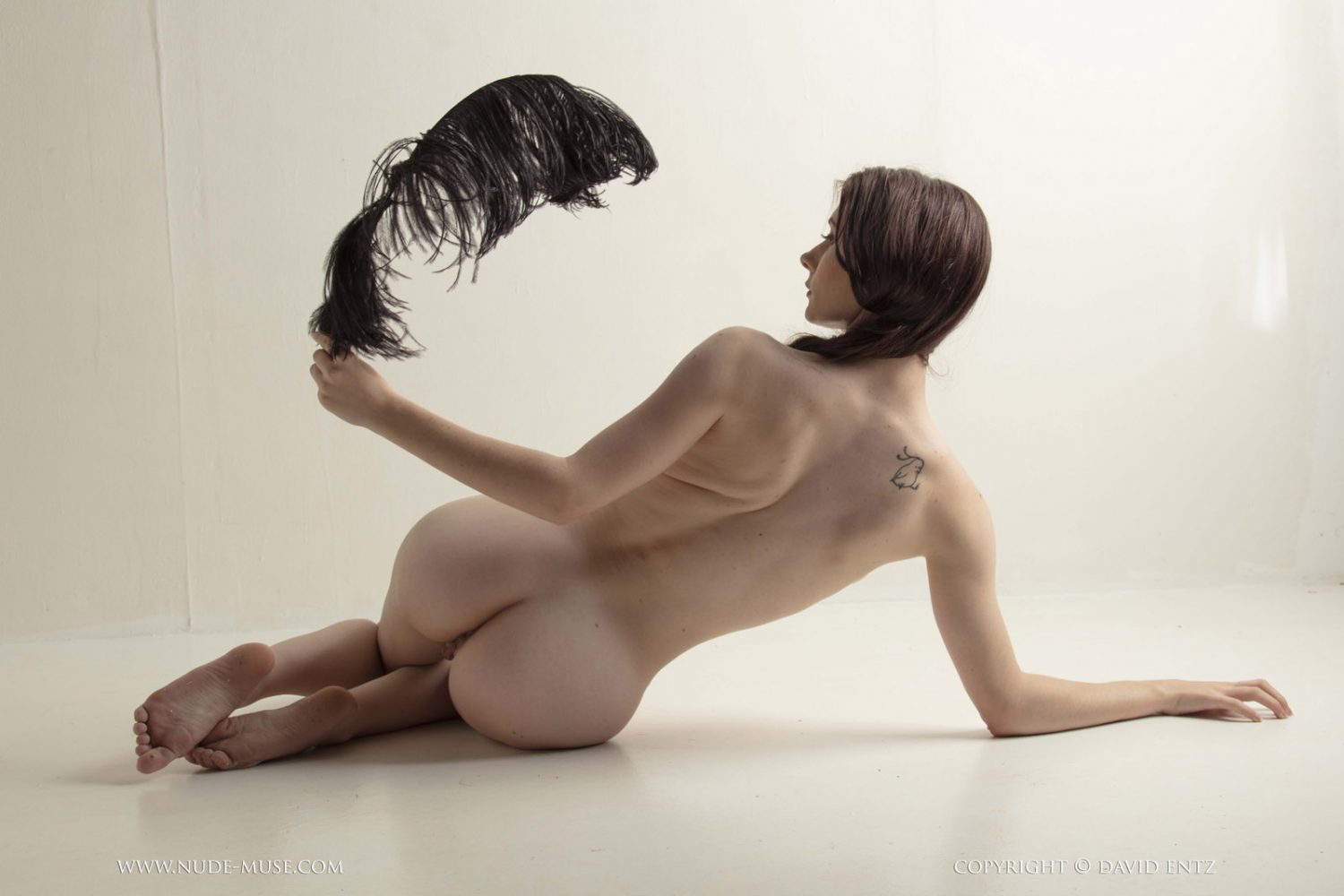Penni Black Feather Nude Muse