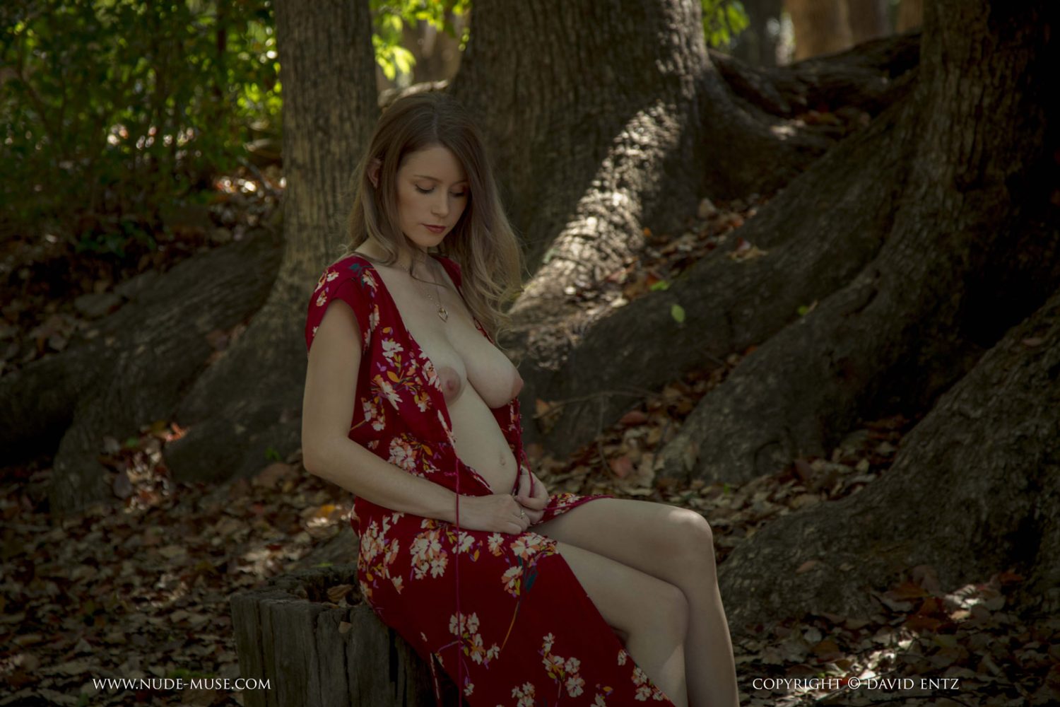 Misty Day Pregnant Nude Muse