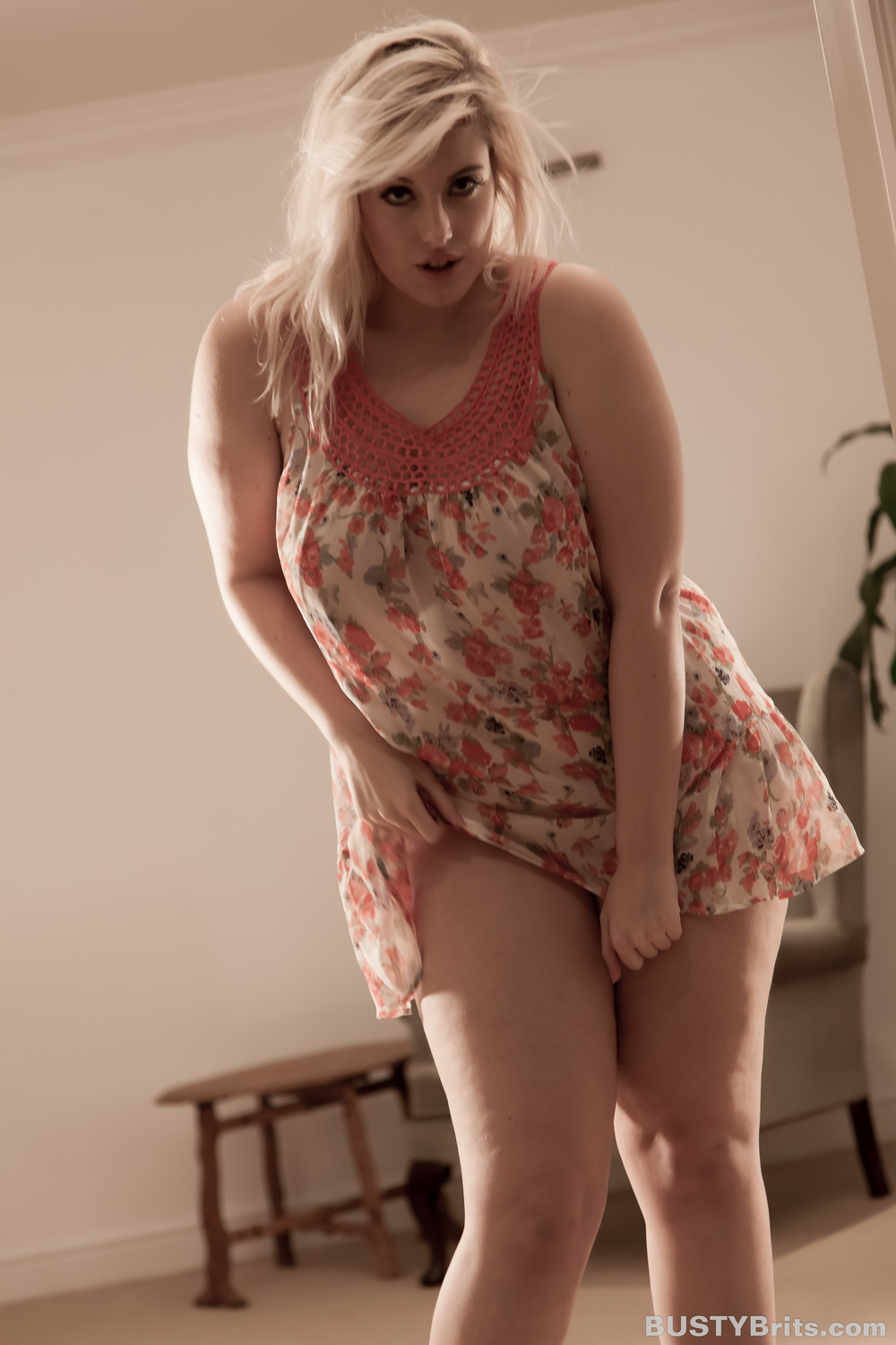 Raphaella lily