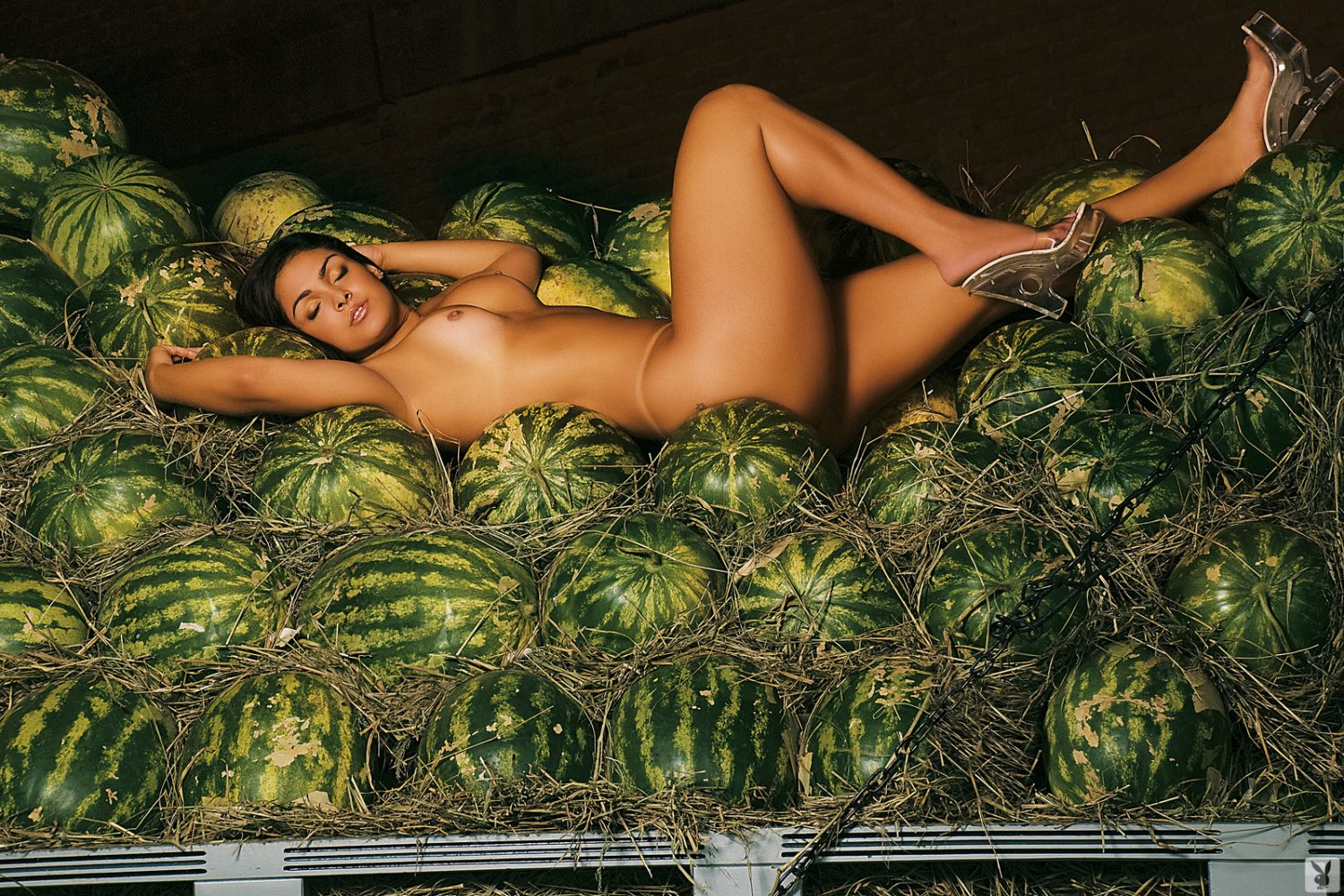 Andressa Soares Nude Playboy Brazil