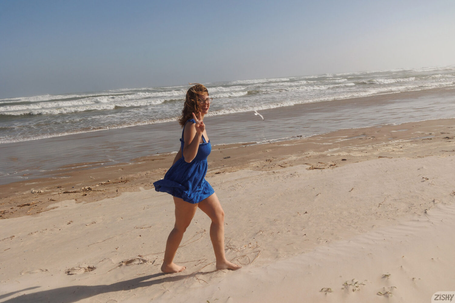 Ellie Nova Windy Bluffs 2 Zishy