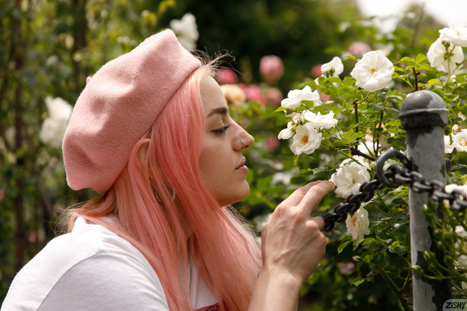 Tova Shapiro Know Your Plants Zishy