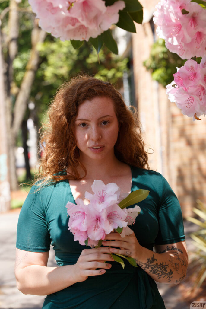 Piper Gunnison American Roadways Zishy