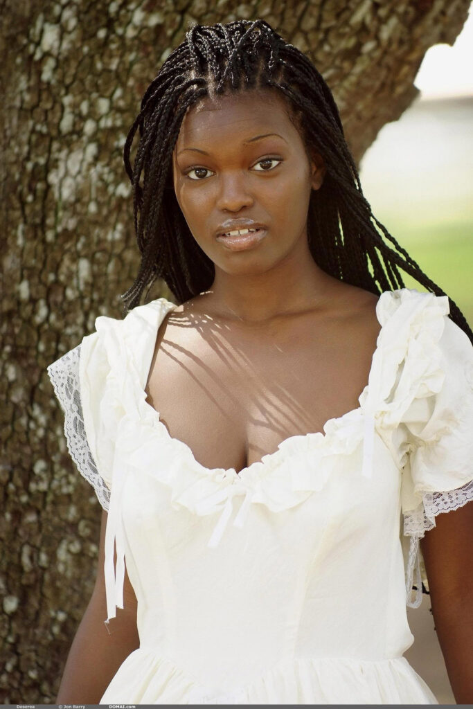 Deserea Set 11 Domai